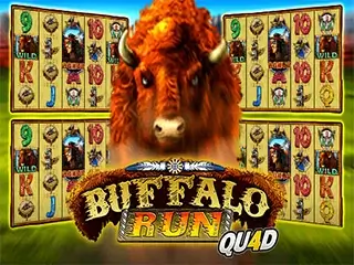 Buffalo Run Quad.webp